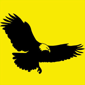 Animal totem visionnaire, que ce soit une vision a court ou a long terme. Tu es capable d'une grande concentration et tu sais prendre du recul.