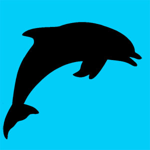 Tu es un dauphin Animal totem joyeux et communicateur. Tu es aimé de tout le monde. T'as difficuté est d'aimer le monde tel qu'il est. 