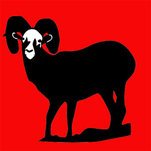 Animal totem sauvage mais très sociable. Tu aimes vivre en altitude loin du tumulte et former des petits clans. Tu es obstiné et rebelle. 