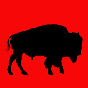 Animal totem représentant l'abondance, la puissance et une grande sagesse. Tu es capable de bouger très vite, t'as vocation est le partage et la