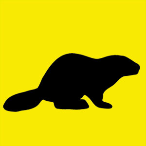 Animal totem toujours dans l’action. Tu as l'esprit d'équipe et tu aimes le travail bien fait.  Tu es fidèle en amitié on peut toujours compter 