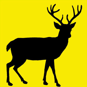 Animal totem doux et intuitif. Ta force et ta grâce te permettent de défier le monde. Ta détermination est sans faille. Tu as bon cœur et tu es 