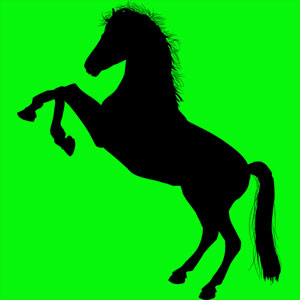 Animal totem symbolisant la passion et la liberté. Tu as une forte envie de vivre. Tu dis toujours ce que tu as envie de dire sans retenue.