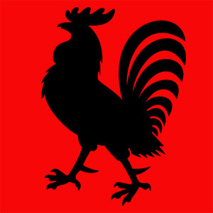 Animal totem protecteur gardien de la vie. Tu incarnes le courage et l'intelligence. T'as fierté et ta bravoure n'ont pas de limite.