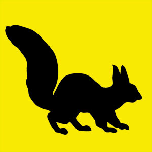 Animal totem prévoyant et joyeux. Tu aimes cacher des choses mais parfois tu ne les retrouves pas. Tu  es plein de vitalité, sociable 