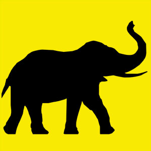 Animal totem majestueux il représente la force tranquille. Tu es sage, protecteur et stable. Tu disperses ton énergie de chance, et de fortune 