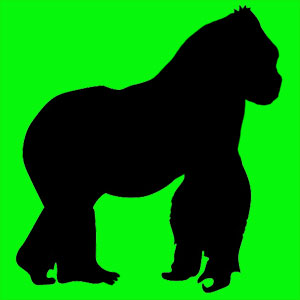 Animal totem noble et puissant. Tu es une personne tranquille et pacifique. Tu te sens responsable et tu aimes protéger tes proches.