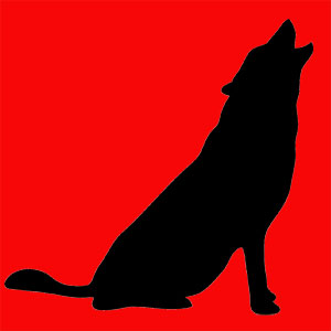 Animal totem sauvage et indépendant. Tu es très attaché à ta famille. Tu es instinctif, intelligent et tu réfléchis beaucoup. Tu es loyal.