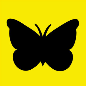 Animal totem symbole de transformation. Tu aimes changer de mode de vie, la joie et la légèreté. Tu es une grande source d'inspiration 