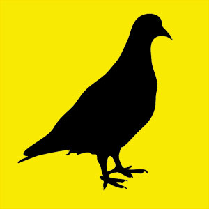 Animal totem symbole d'amour et de douceur. Tu aimes envoyer des sms et guider les autres. Tes amis sont important pour toi. Tu roucoule.