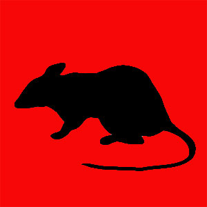 Animal totem qui apporte la chance la richesse et le succès Tu aimes bien prévoir le temps, tu fais face à tous les défis et tu es persévérant.