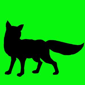 Animal totem très réactif et rusé. Tu es doué d'un grand sens de l'orientation, tu es un bon guide dans les situation délicates. Tu aimes 