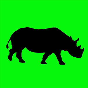 Animal totem doué d'une force instinctuelle. Tu fonces et tu réfléchis après. Tu es perspicace et tu as beaucoup d'intuition. Brut de pomme.