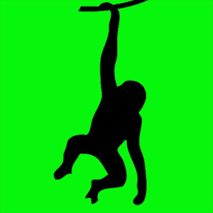 Animal totem positif et joueur. Tu aimes créer et tu es très inventif. Tu es fier de toi mais tu te prends jamais au sérieux. Tu aimes partager 