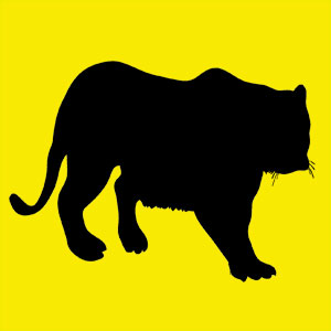 Animal totem rapide et imprévisible. Tu peux surmonter tous les obstacles. Tu es sensuel et tu possèdes un grand appétit de vivre.