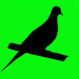 Animal totem des éternels amoureux. Elle annonce toujours de grand changement. Tu es insouciant (e) et un incroyable séducteur (trice) 